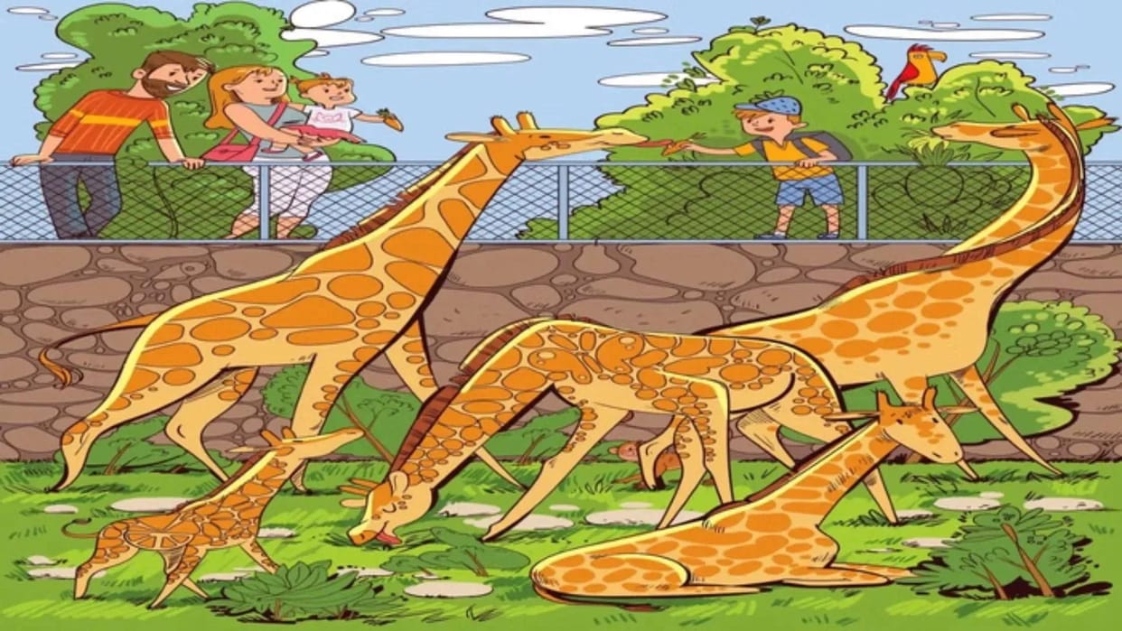 brain teaser image spot the monkey in optical illusion