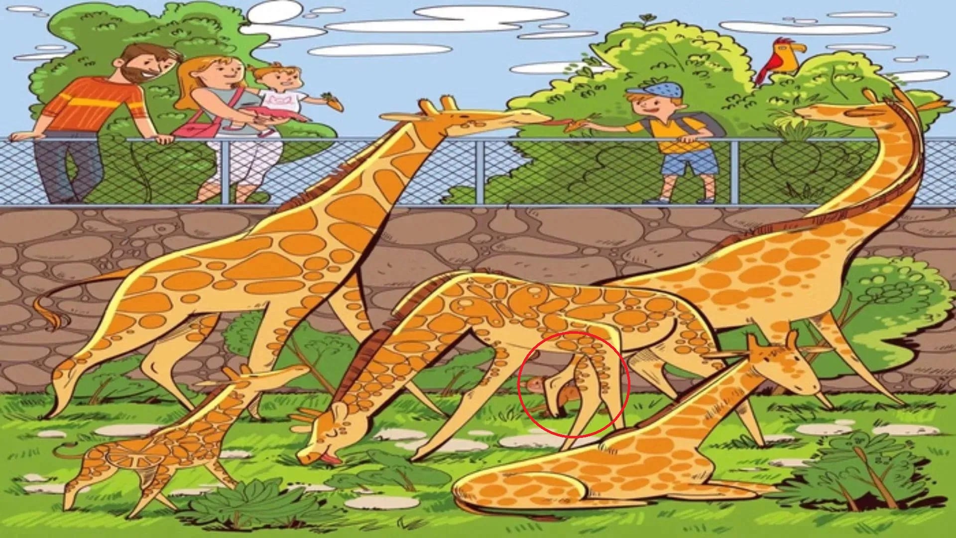 brain teaser image spot the monkey in optical illusion