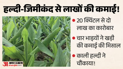 हल्दी, जिमीकंद से लाखों की कमाई।
