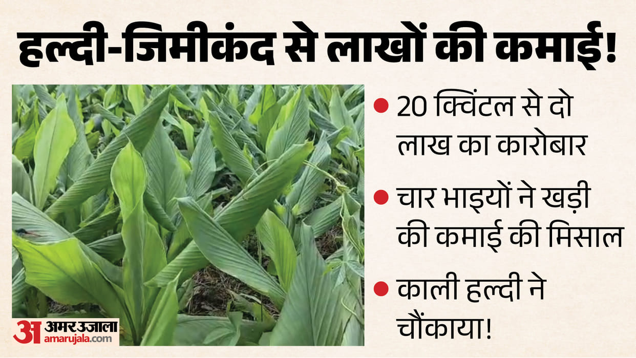 bilaspur karot natural farming turmeric yam income