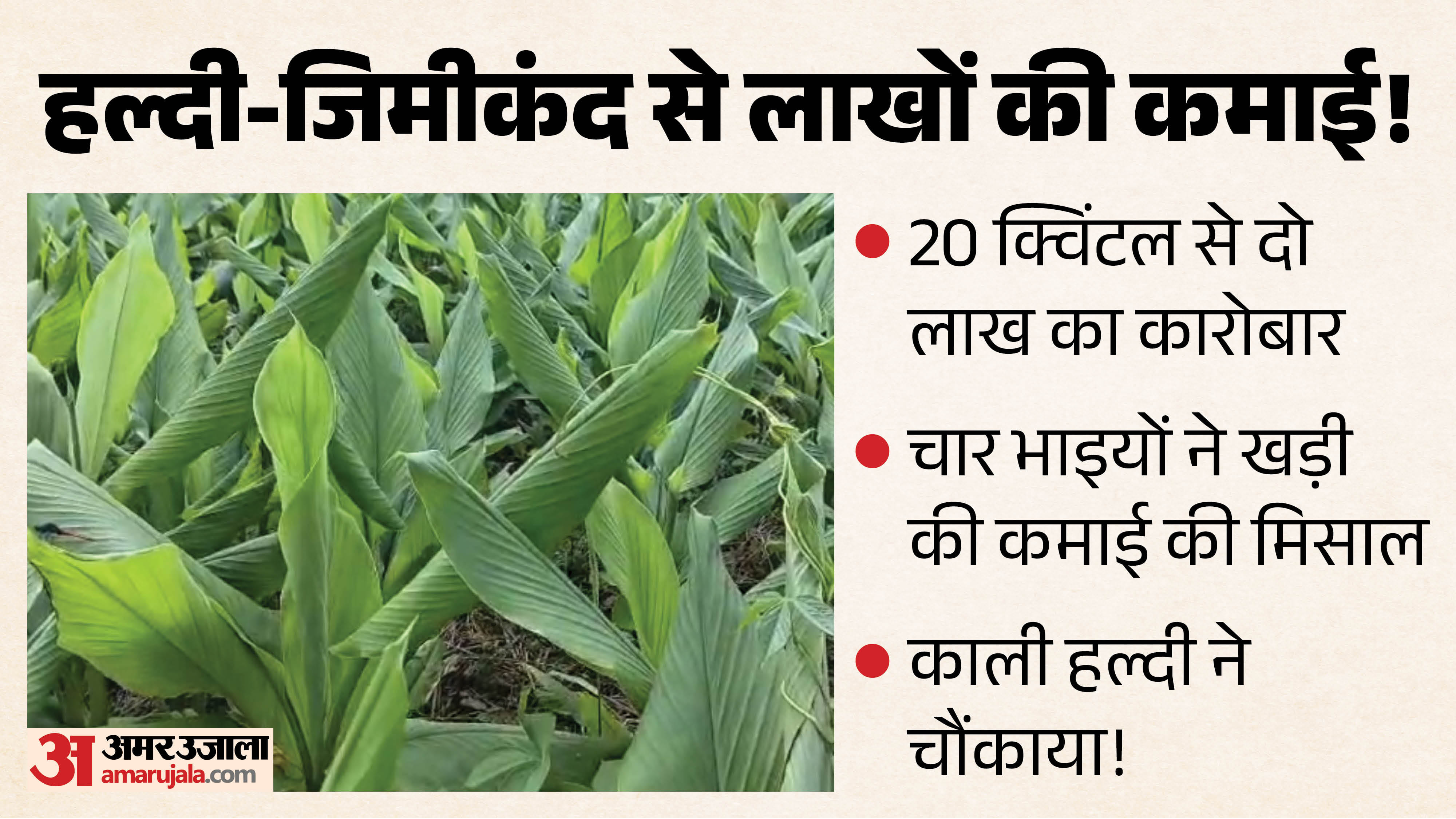 हल्दी, जिमीकंद से लाखों की कमाई।