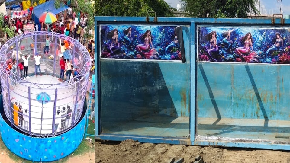 Mixer Jhoola and Jalpari show at Dauji Mela hathras