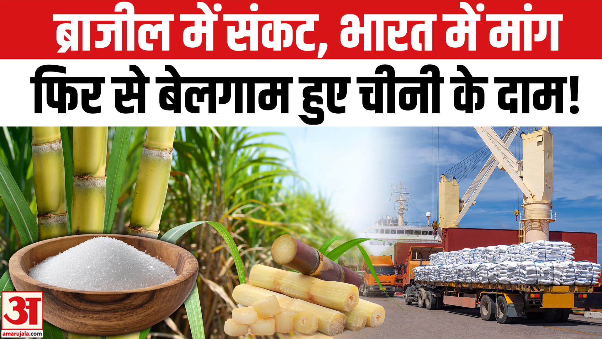 Sugar prices skyrocket during the festive season; government issues warning to sugar mills.