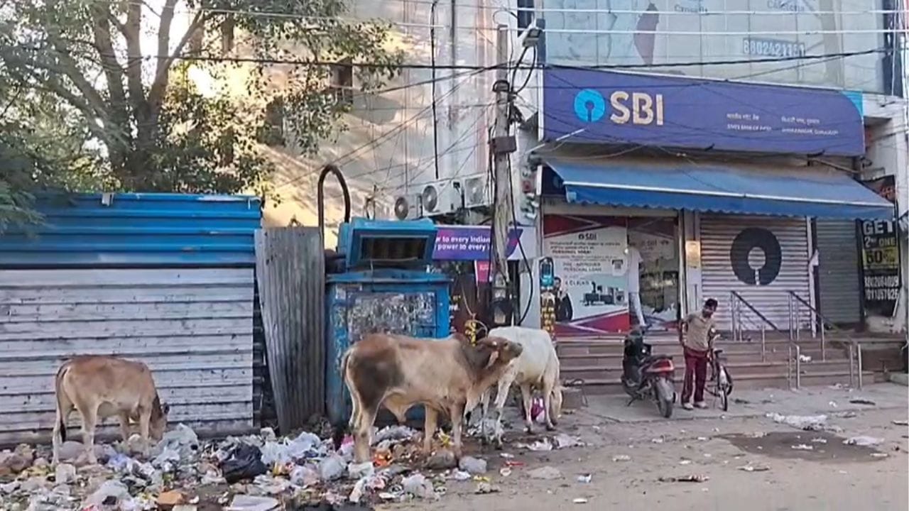 सड़क पर फैला कचरा