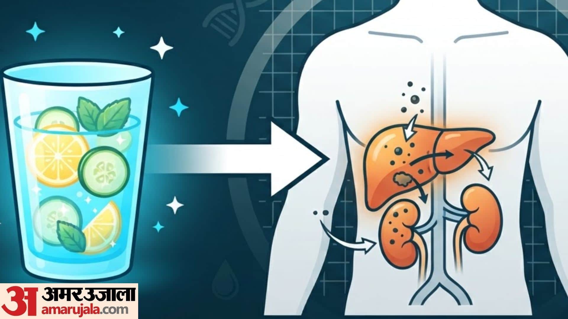 does detox water really work know the answer here in hindi