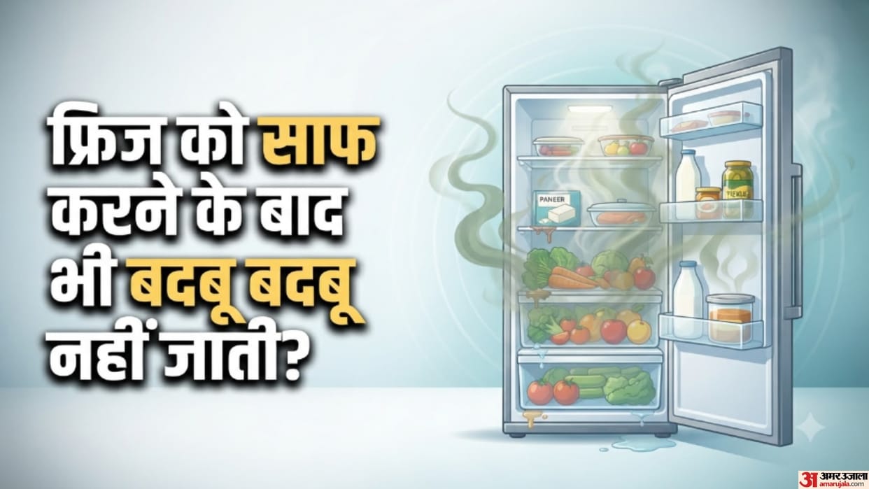 Why Does the Refrigerator Smell Bad Even When Food Is Stored Inside
