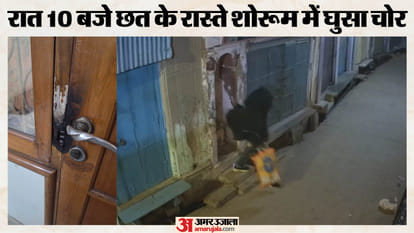 कैमरे में कैद चोर