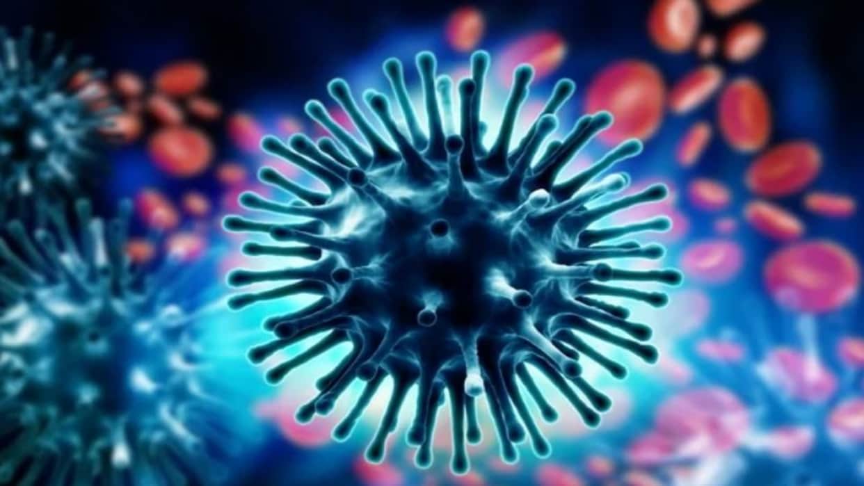 Swine Flu Cases Uttarakhand Rise to 484 After 31 New Cases in 24 Hours, 84 Patients Active