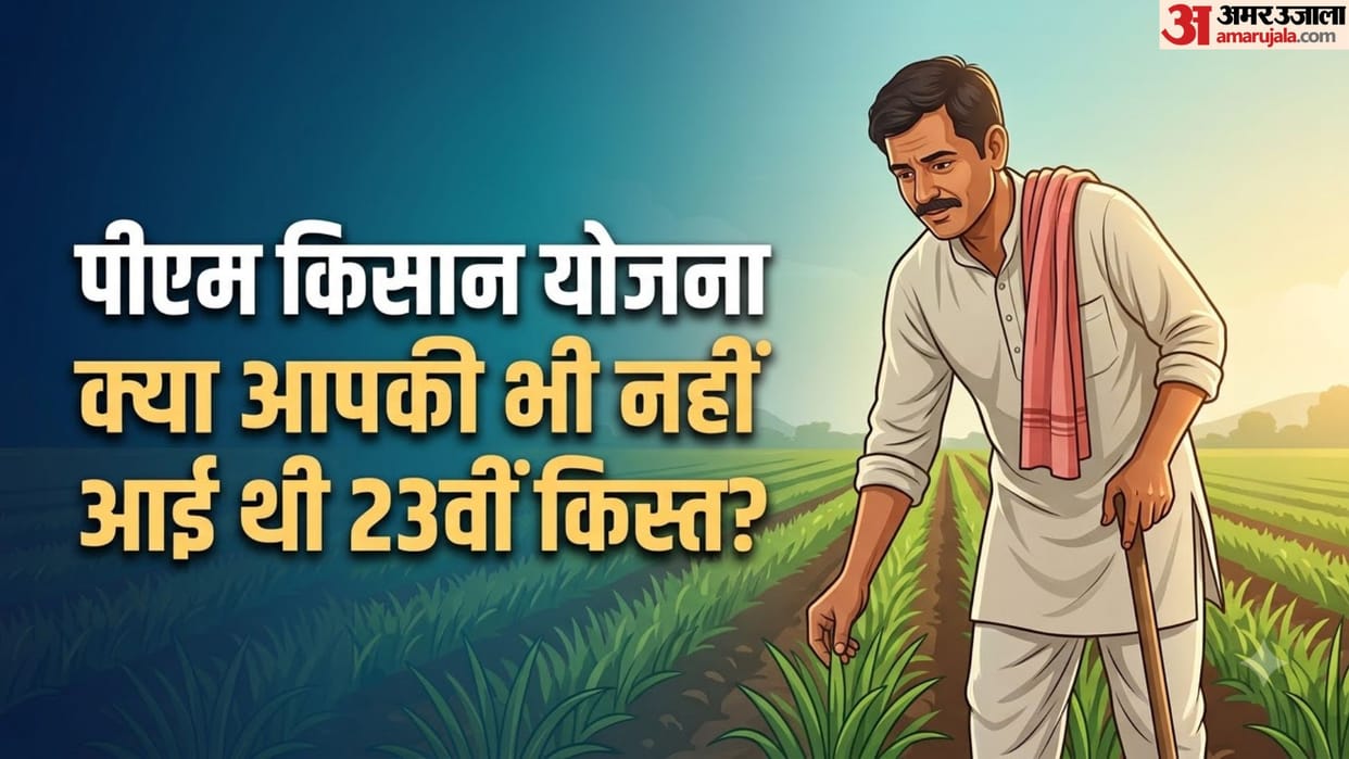 PM Kisan Pending Installment Status: How to Ensure Next Installment Release
