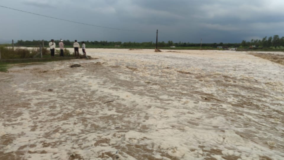 Heavy Rain in Shakambhari: Rising River Water Forces Pilgrims to Safety, Several Rivers Swell