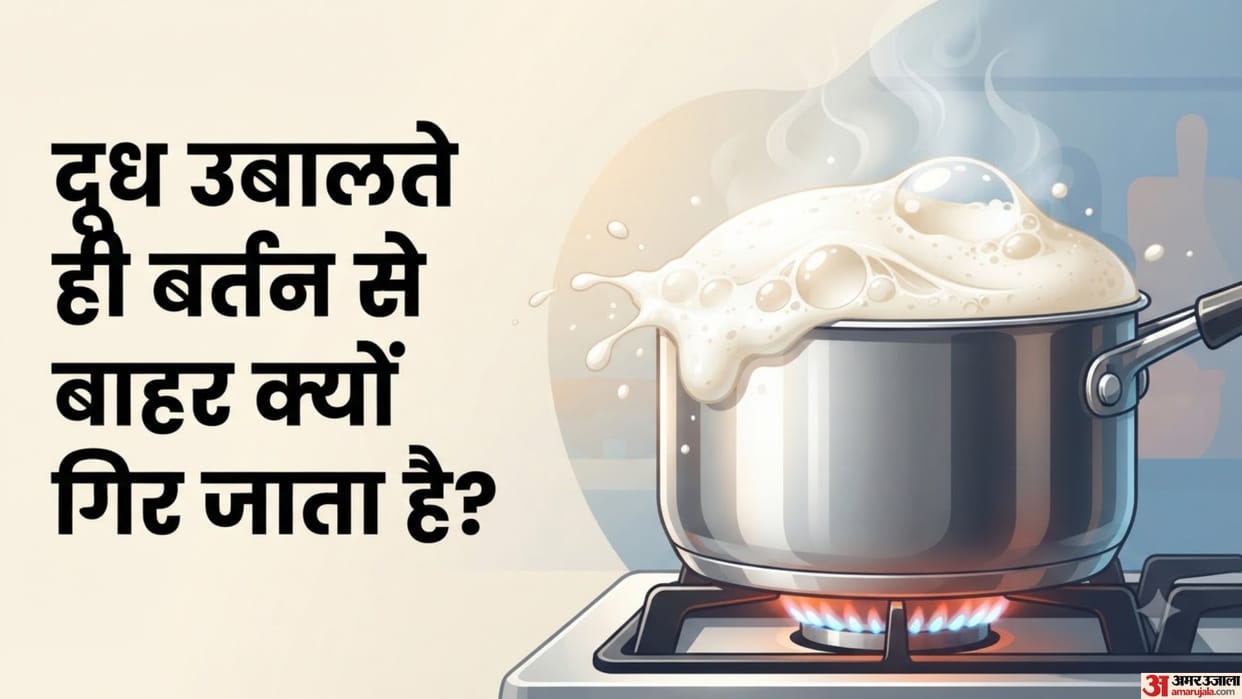 Why Does Milk Spill Over While Boiling Know details here
