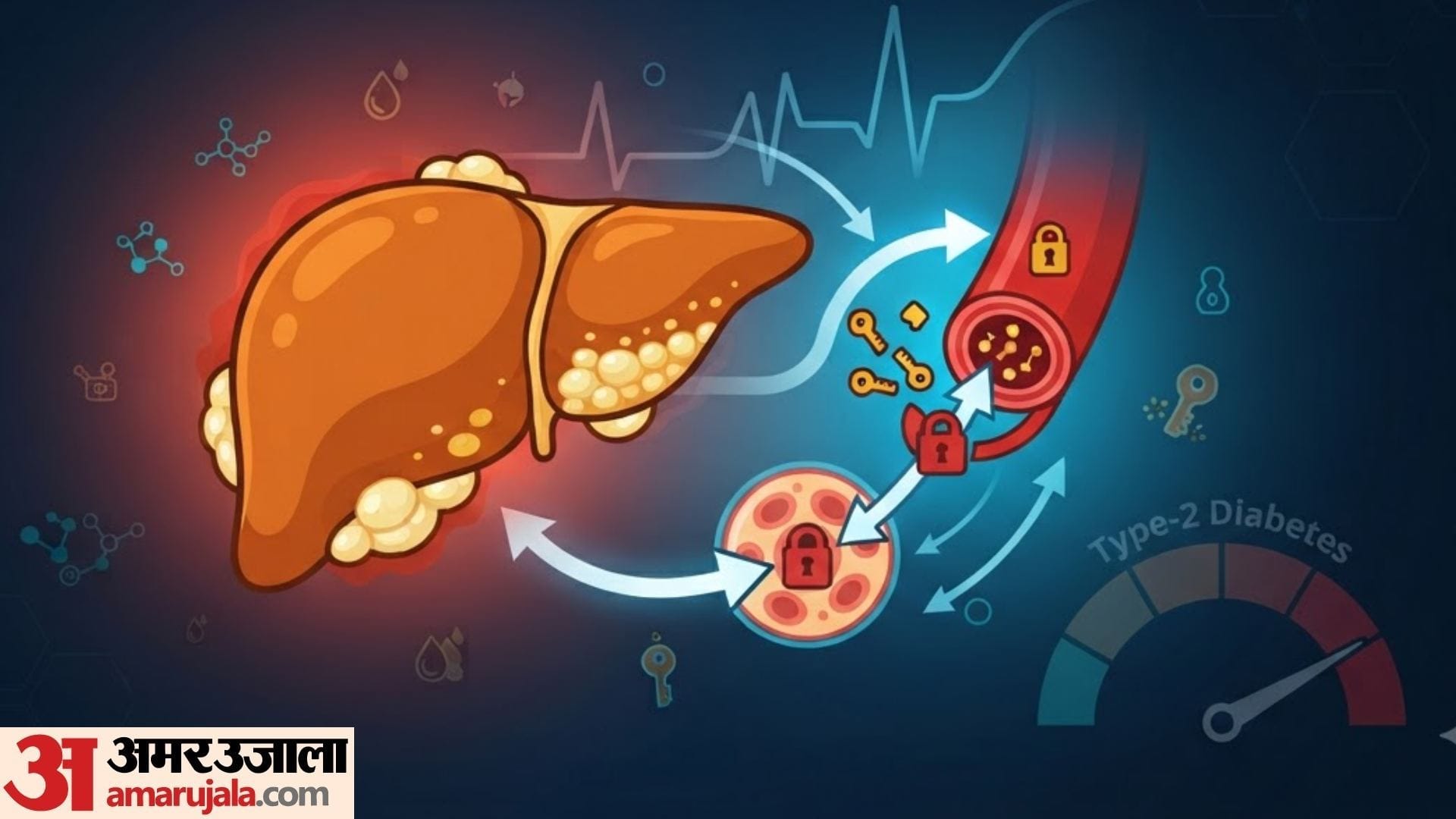 connection between diabetes and fatty liver in hindi kya fatty liver walo ko diabetes hota hai