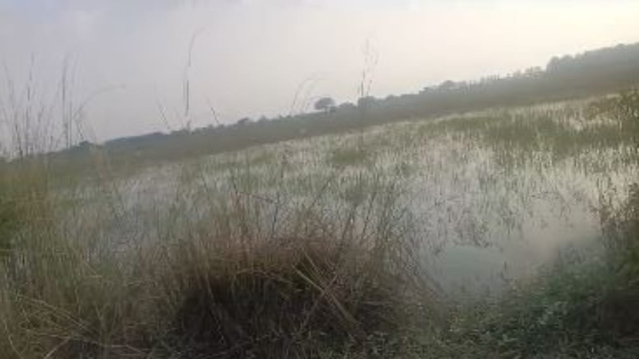 Ramganga floods wash away farmers hard work in Budaun