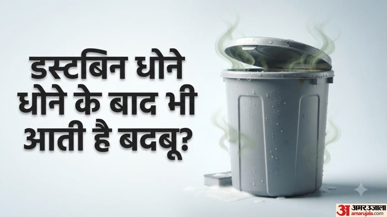 Why Does the Dustbin Still Smell Bad Even After Washing