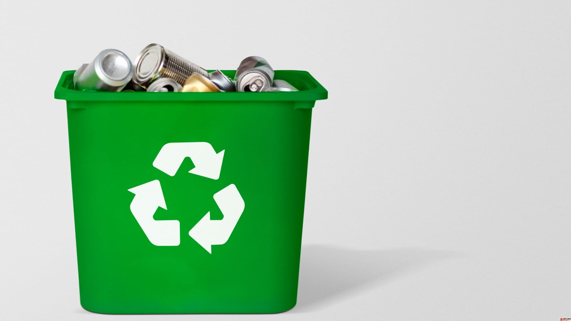 Why Does the Dustbin Still Smell Bad Even After Washing