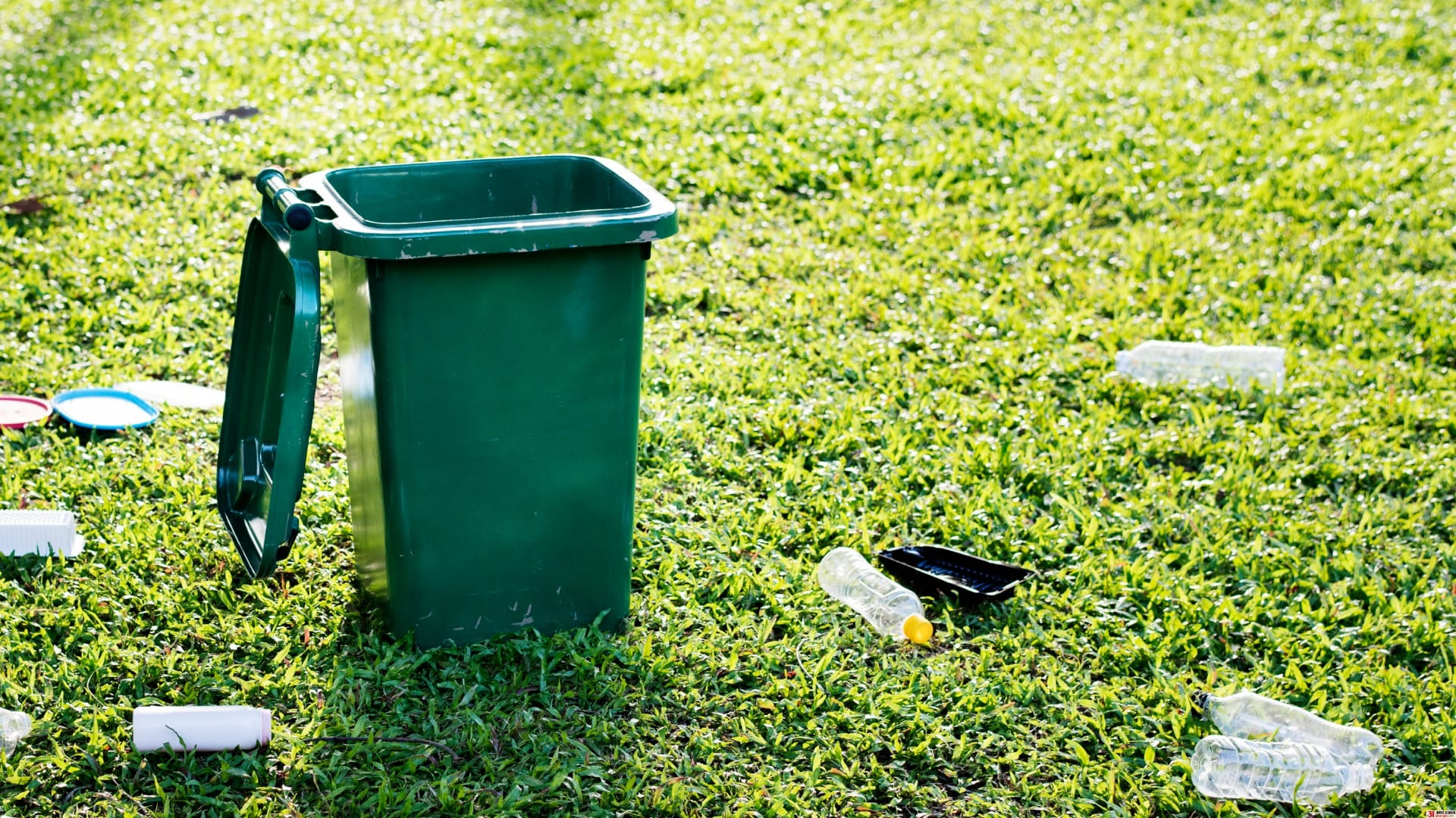 Why Does the Dustbin Still Smell Bad Even After Washing