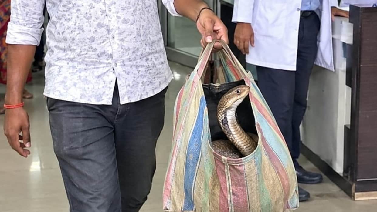 man arrives at district hospital with snake in a bag after being bitten in Bareilly