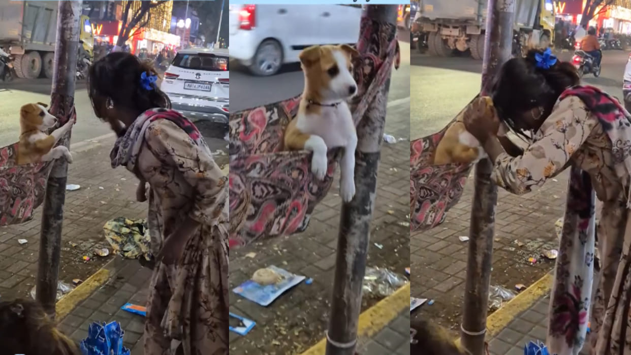 Girl made sheet hammock for puppy on the footpath cute bond viral video