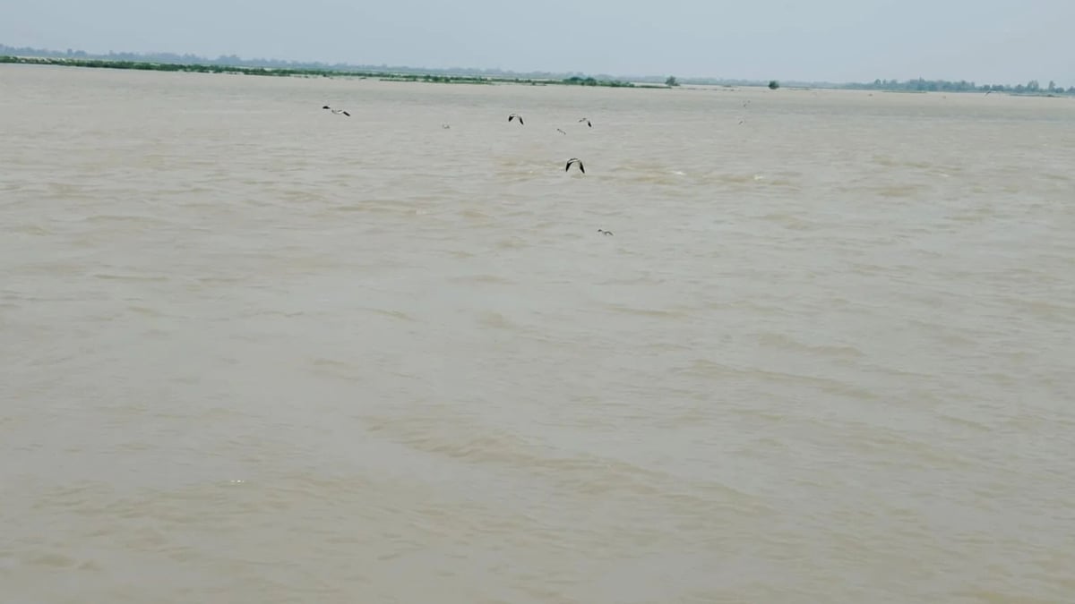 बिहार: गंगा के बढ़े जलस्तर से राजमहल गंगा क्रूज की रफ्तार पर ब्रेक, नौ दिनों से भागलपुर में अटका