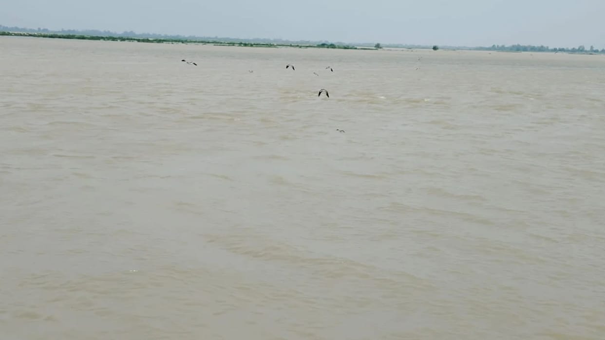 Bihar Rising Water Levels Halt 'Rajmahal' Ganga Cruise Vessel Stranded in Bhagalpur for 9 Days