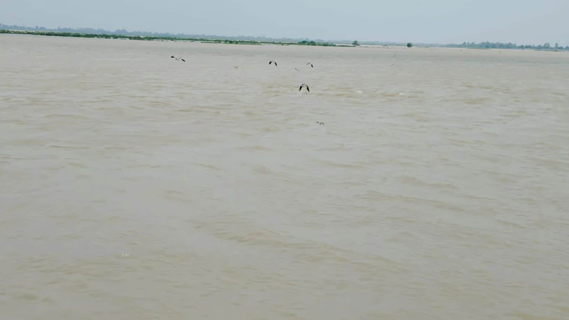 सांकेतिक तस्वीर