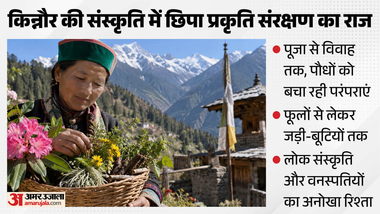 kinnaur folk culture conservation 105 plant species