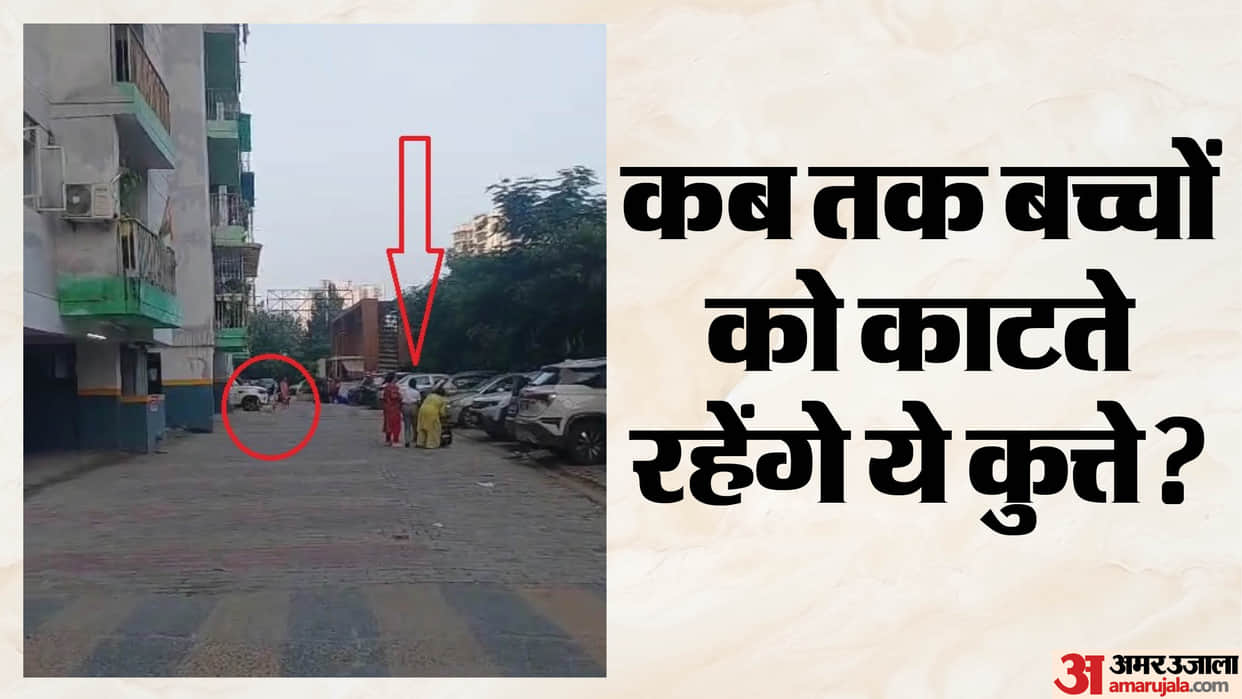 Stray dog attacked on female student in Rajnagar Extension
