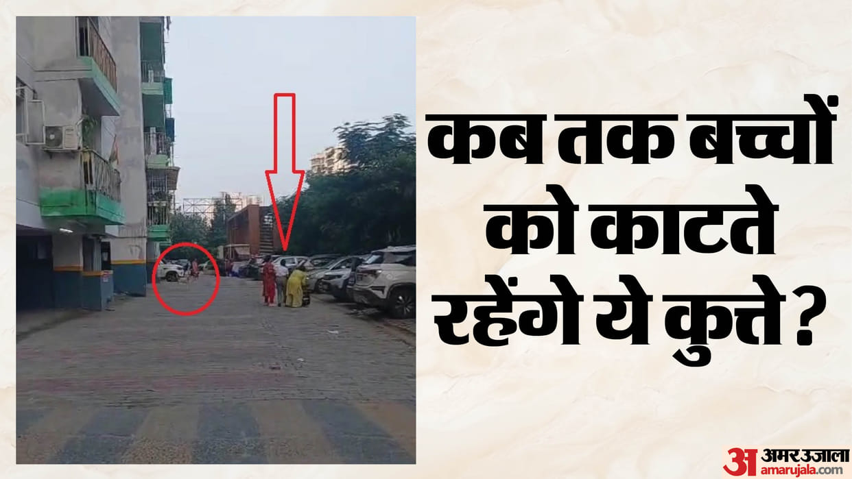 Stray dog attacked on female student in Rajnagar Extension