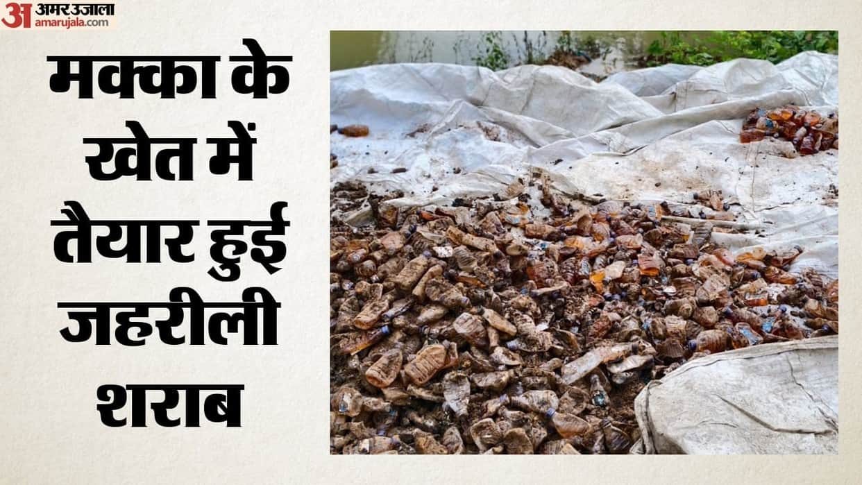 Banda Tragedy: Fake Liquor Brewed in Maize Field, Swift Action Prevented Hundreds of Deaths