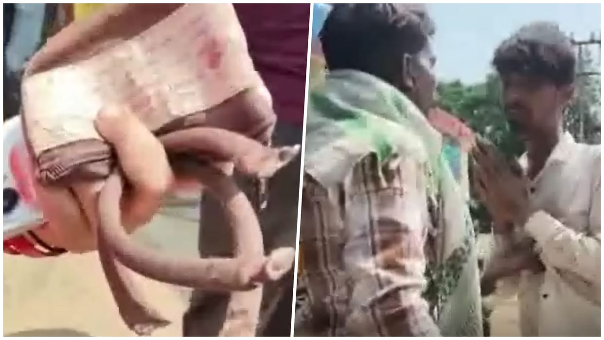 Satna: Woman’s Purse Snatched in Daylight, Locals Catch Two Suspects; Police Action Under Question