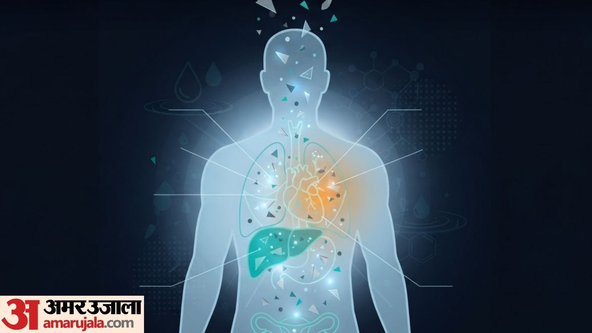 Microplastics Health Risks side effects of consuming microplastics in daily life