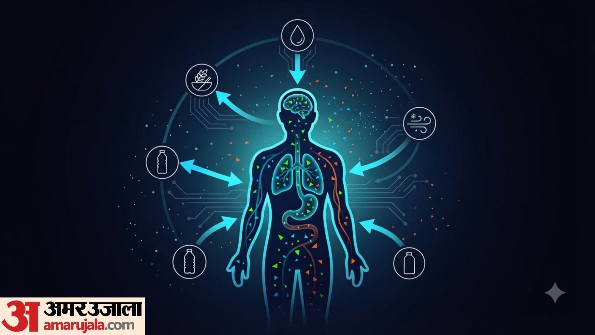 Microplastics Health Risks side effects of consuming microplastics in daily life