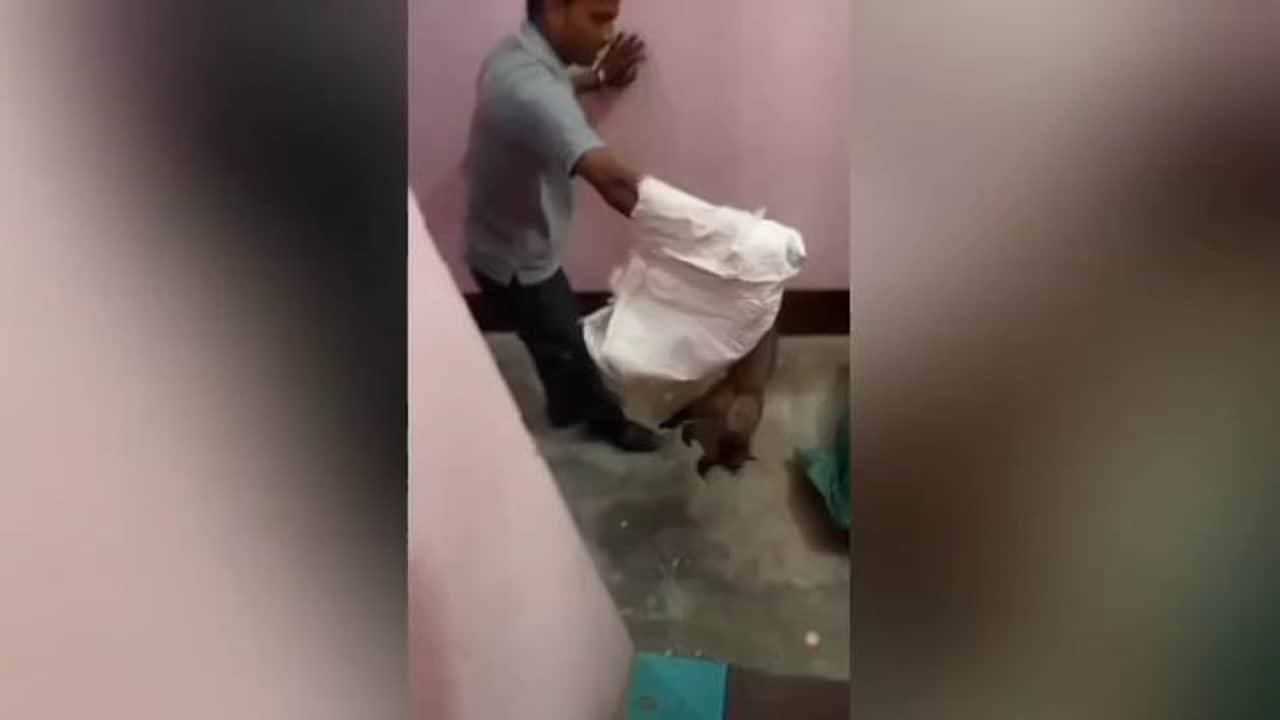 वनकर्मियों ने किया रेस्क्यू
