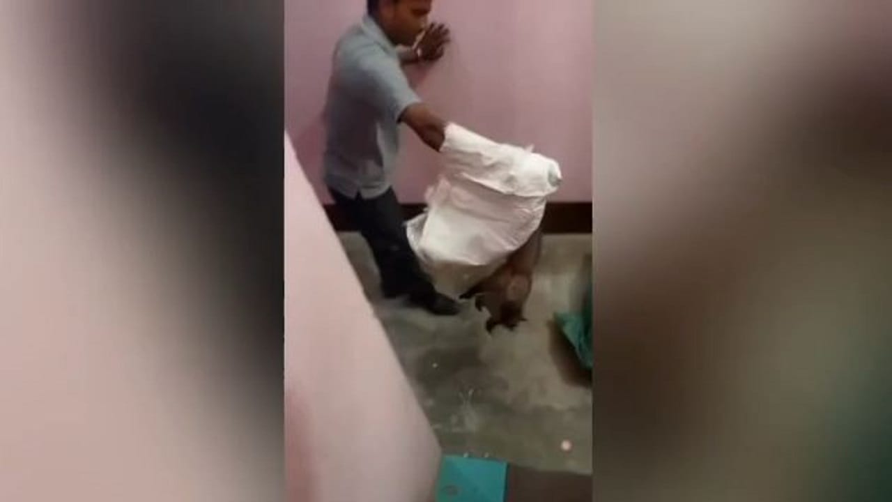 वनकर्मियों ने किया रेस्क्यू