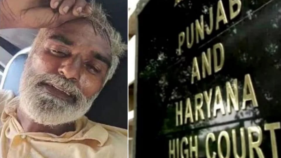 Gulzar Singh suicide case High Court seeks status report from Punjab government orders impartial probe