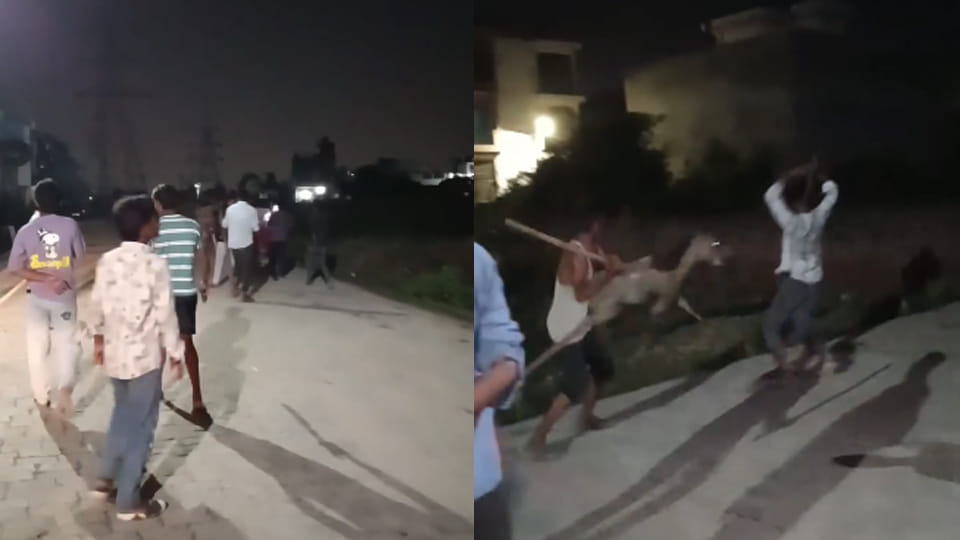 घोड़े को पीटते लोग