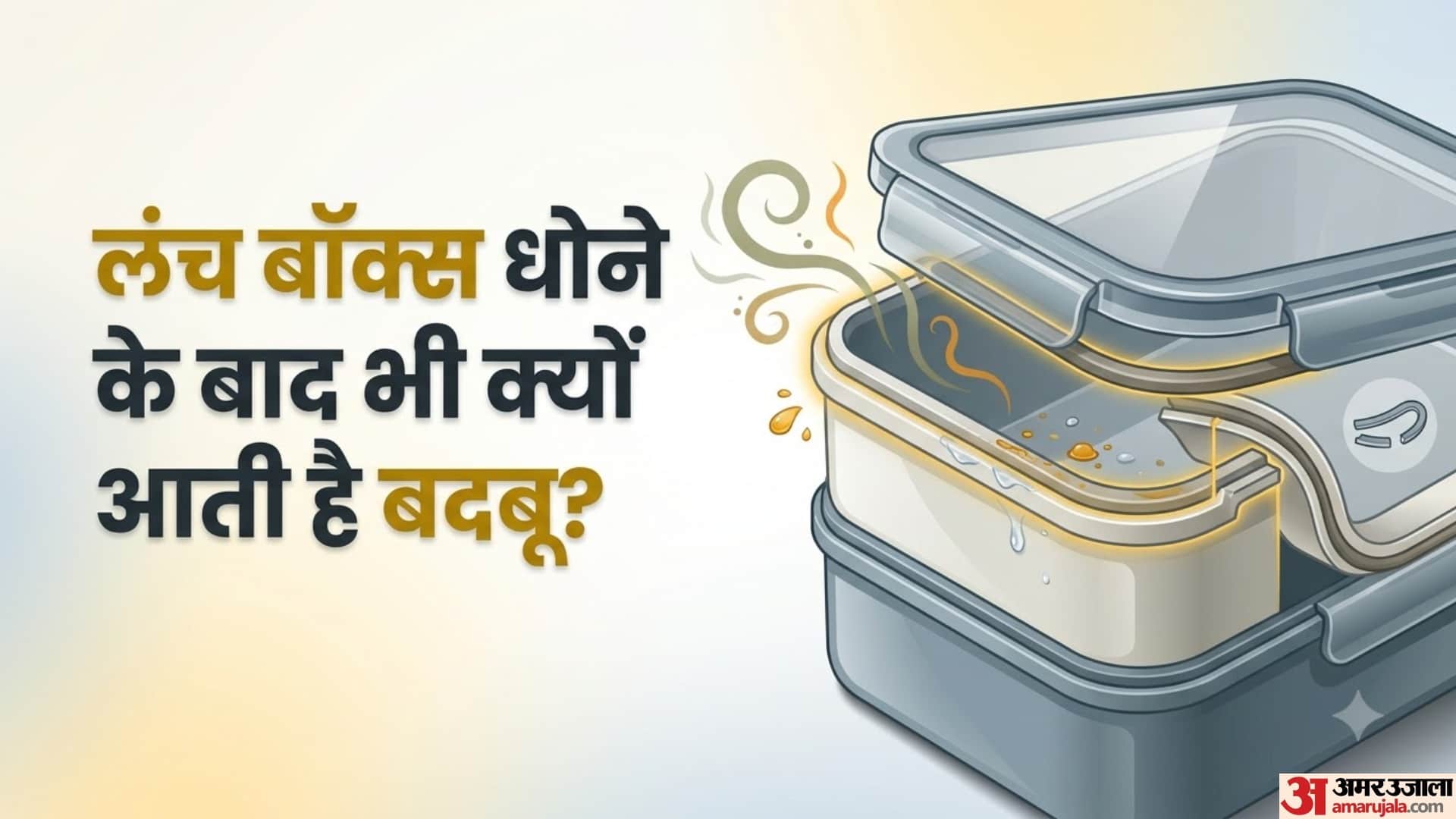 लंच बॉक्स धोने के बाद भी क्यों आती है बदबू?