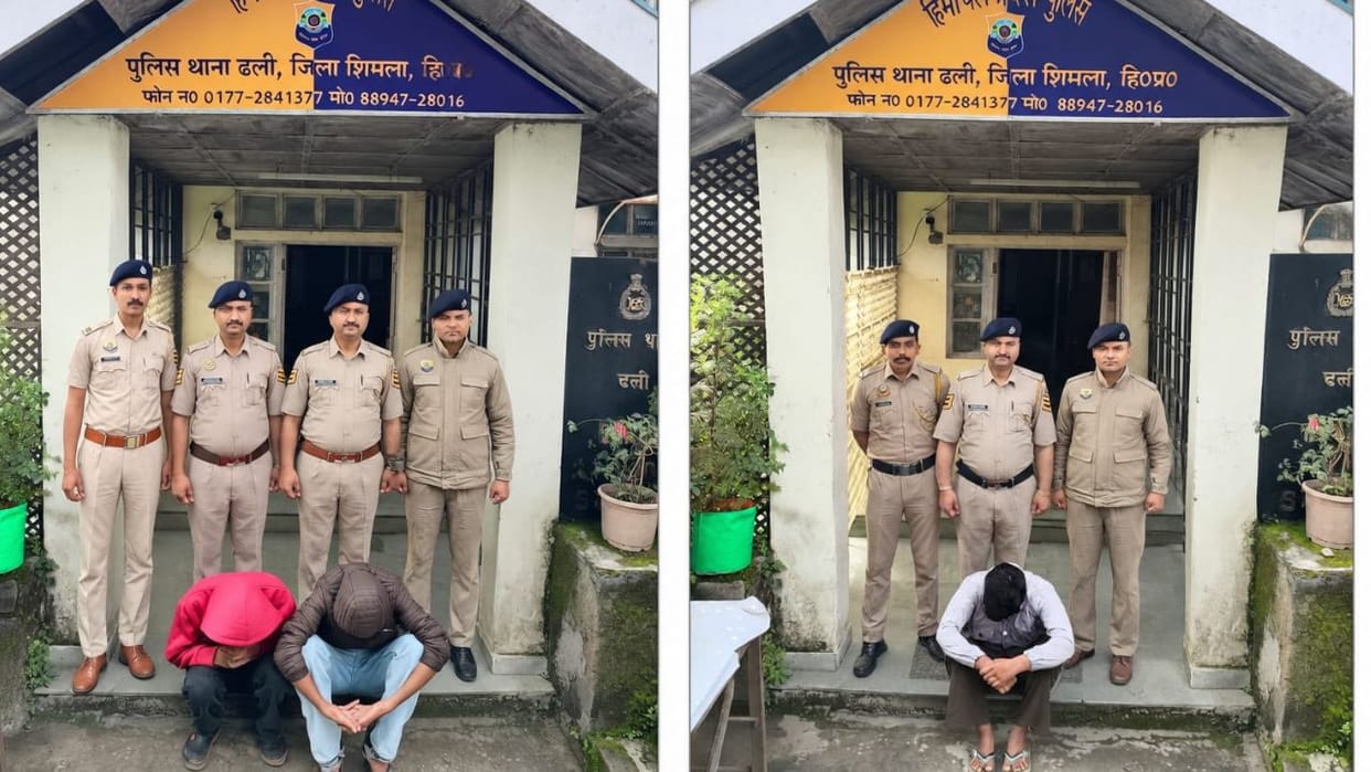 shimla police arrests two alleged chitta suppliers from punjab chandigarh