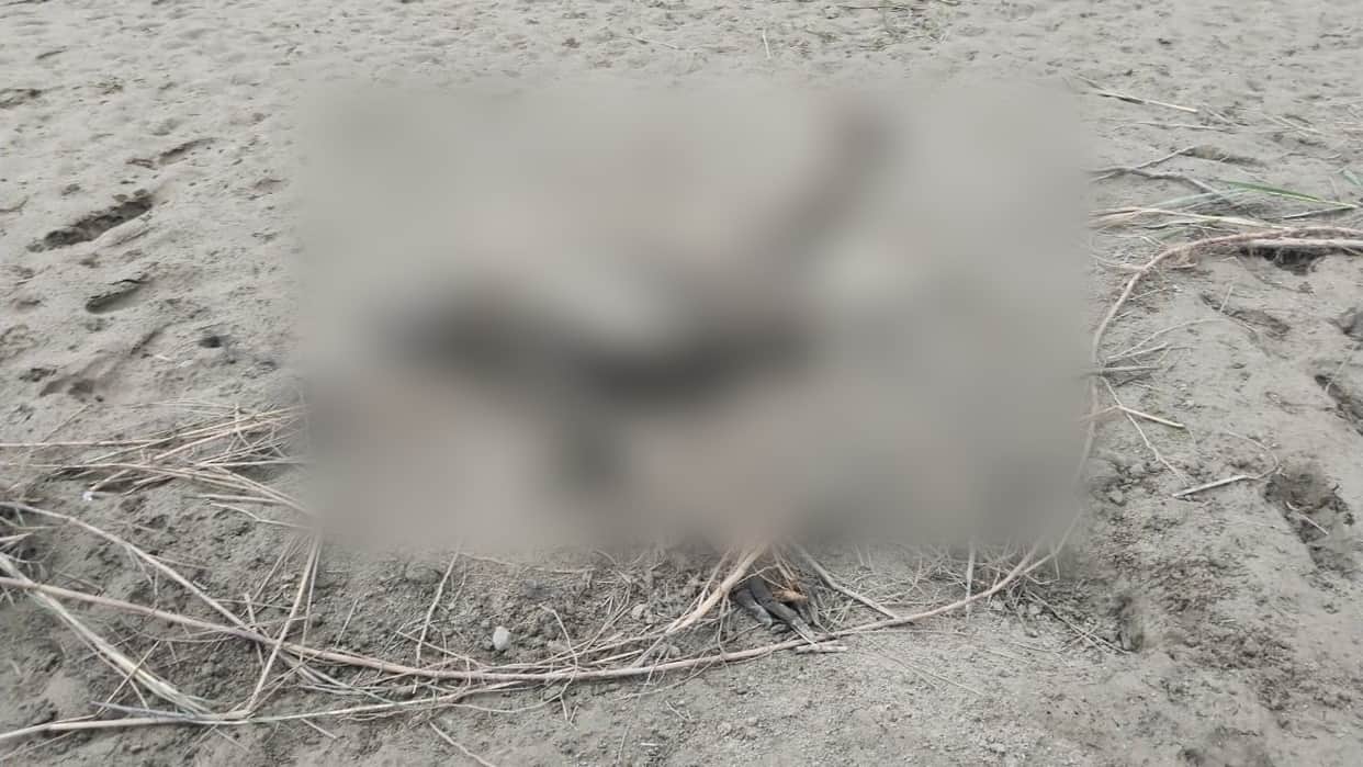skeleton found on the banks of the Devha River in Pilibhit
