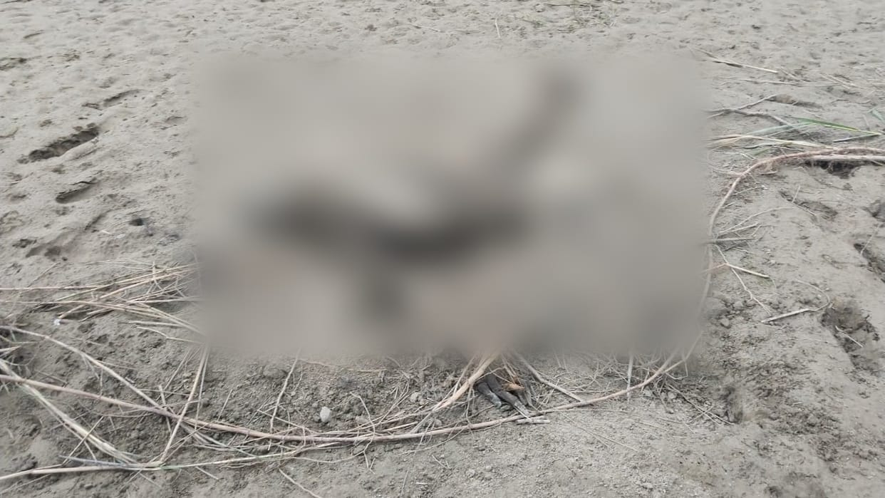 skeleton found on the banks of the Devha River in Pilibhit