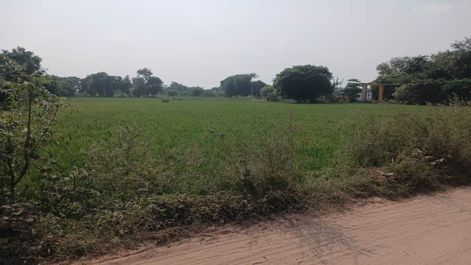 Housing Scheme for Hathras New City
