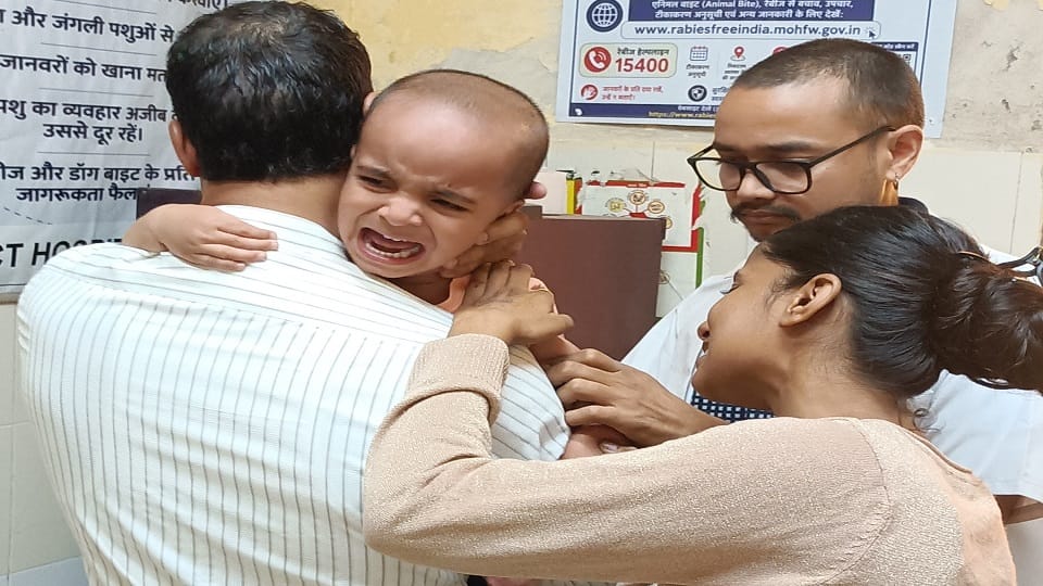 Agra Faces Rising Dog and Monkey Attacks: 3,619 People Injured in August