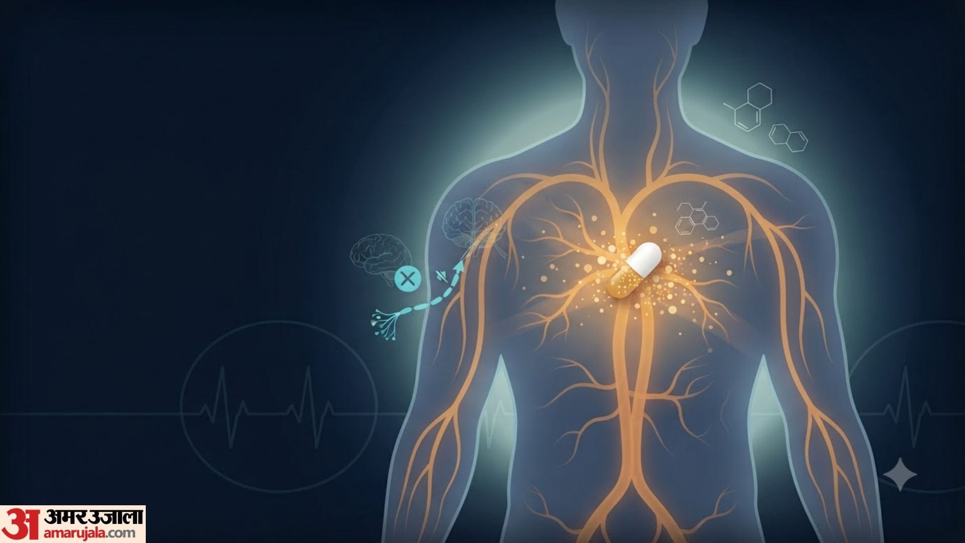 how does a painkiller work in hindi painkiller kaise kam karta hai