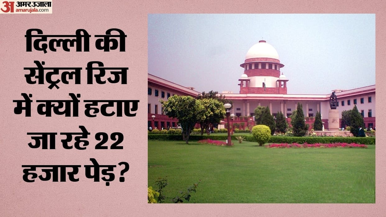 Supreme Court Approves Removal of 13000 Invasive Trees From Delhi Central Ridge: Why Was It Needed