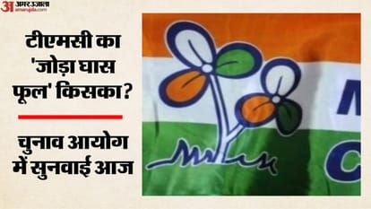 टीएमसी चुनाव चिह्न विवाद