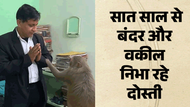 A monkey visiting Advocate chamber for roti for seven years in ghaziabad