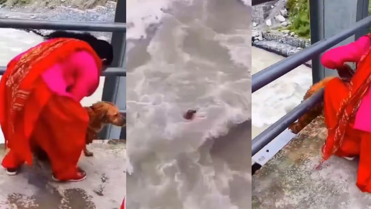 Woman Throwing Dog From A Bridge In river Nepal Video Getting Viral