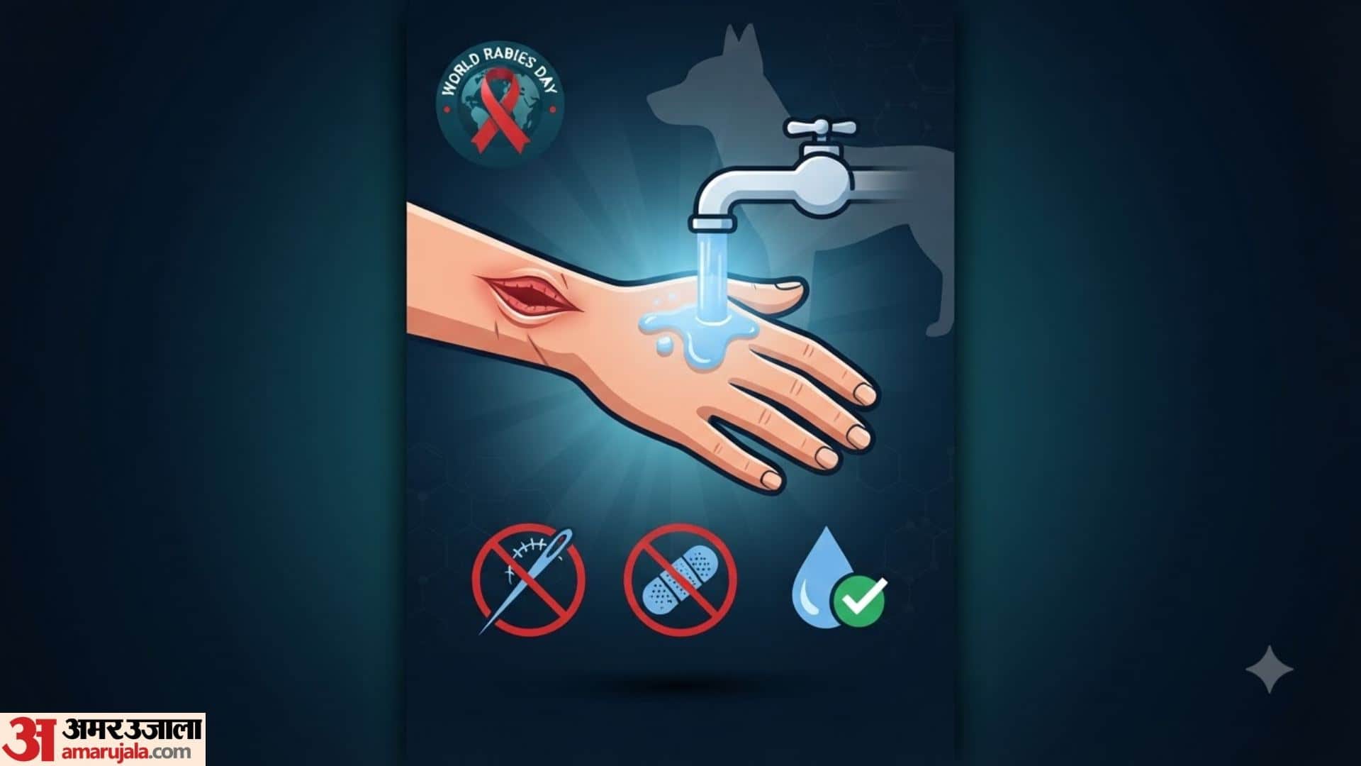 world rabies day 2026 what to do and what not to do for dog bite first aid