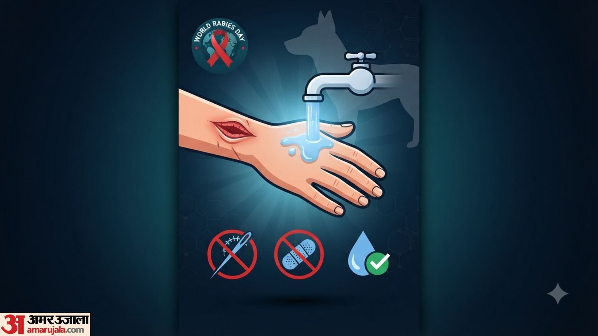 world rabies day 2026 what to do and what not to do for dog bite first aid