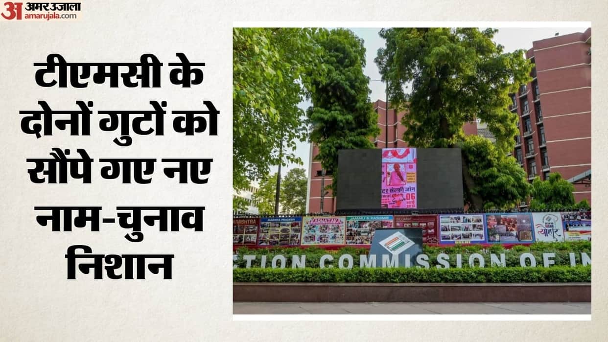 eci new names and symbols for mamata and ritabrata led Trinamool factions party source